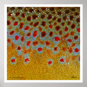 Póster Poster de la trucha de Brown