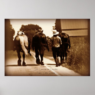 Póster Poster de la vida de Amish