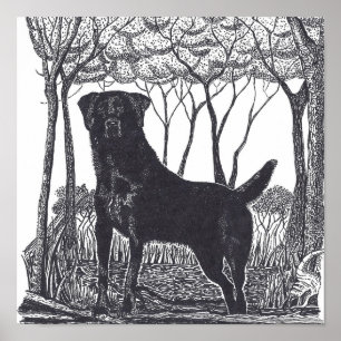 Póster poster de laboratorio negro