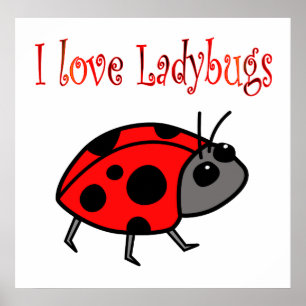 Póster Poster de Ladybugs