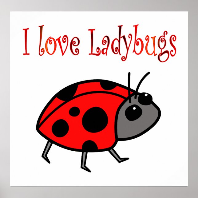 Póster Poster de Ladybugs (Frente)