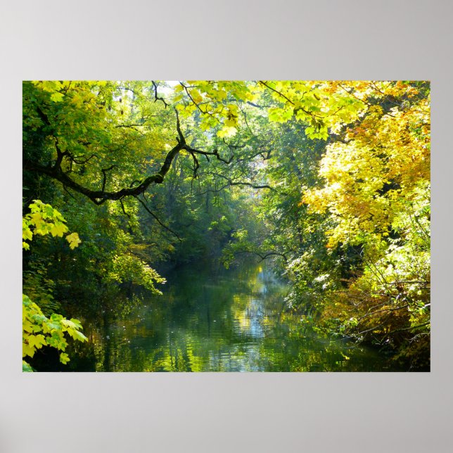 Póster Poster de Lago y Árboles (Frente)