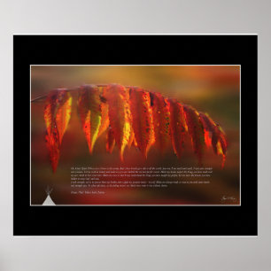 Póster Poster de Lakota Prayer