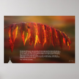 Póster Poster de Lakota Prayer
