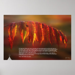 Póster Poster de Lakota Prayer