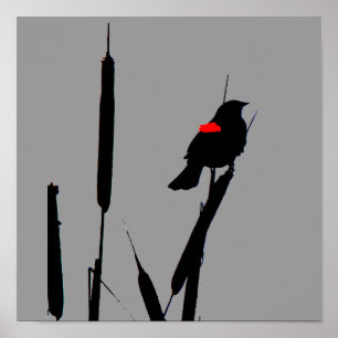 Póster Poster de las aves negras