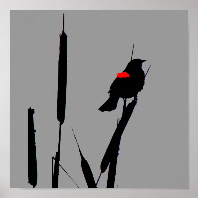 Póster Poster de las aves negras (Frente)