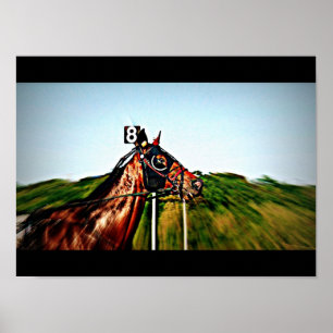 Póster Poster de las Carreras de arnés