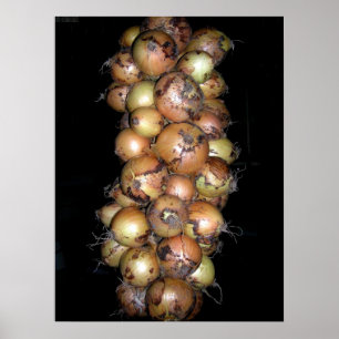 Póster Poster de las cebollas