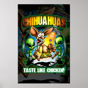 Póster Poster de las chihuahuas