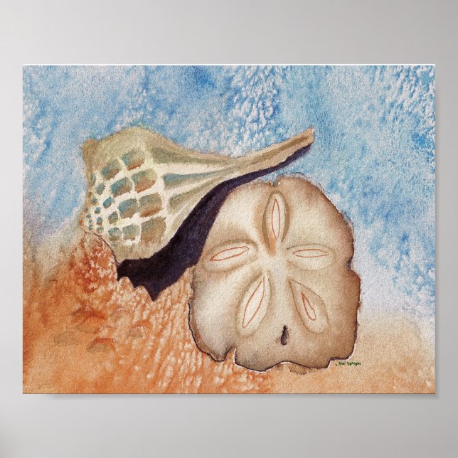 Póster Poster de las conchas marinas (Frente)
