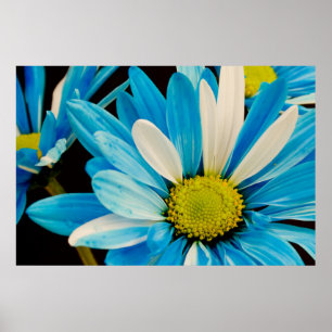 Póster Poster de las flores azules