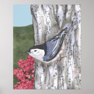 Póster Poster de las flores rosadas y nuthatch blanco