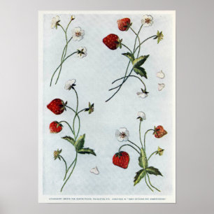 Póster Poster de las fresas de Edwardian
