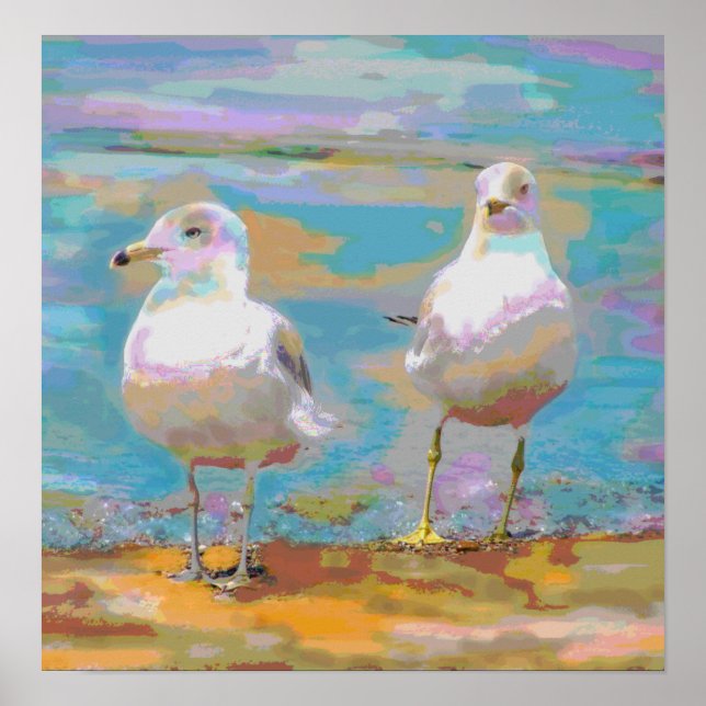 Póster Poster de las gaviotas oceánicas (Frente)