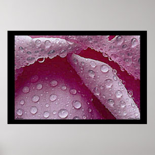 Póster Poster de las gotas de lluvia