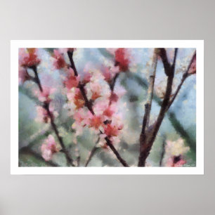 Póster Poster de las ilustraciones del flor del árbol fru
