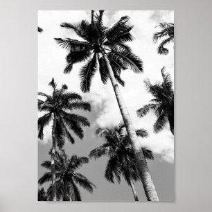 Póster Poster de las palmeras