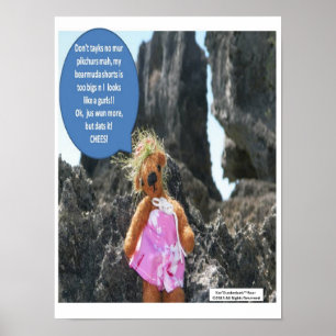 Póster Poster de las vacaciones del oso de Ker'Dunkedunk