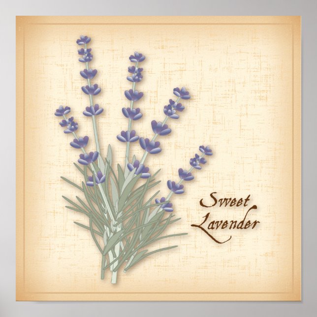 Póster Poster de lavanda dulce (Frente)