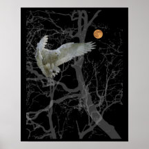Poster de Lechuza Barn, lechuza de Texas, símbolo