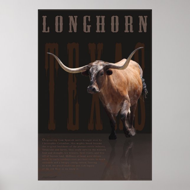 Póster Poster de Legado Longhorn -40x60 -otros tamaños ta (Frente)