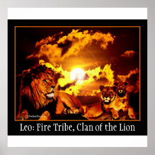 Póster Poster de Leo