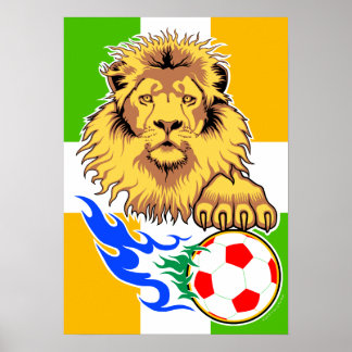 Póster Poster de Leones de Fútbol de Irlanda o Costa de M