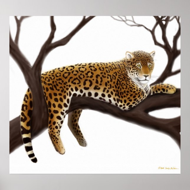 Póster Poster de Leopardo Africano (Frente)