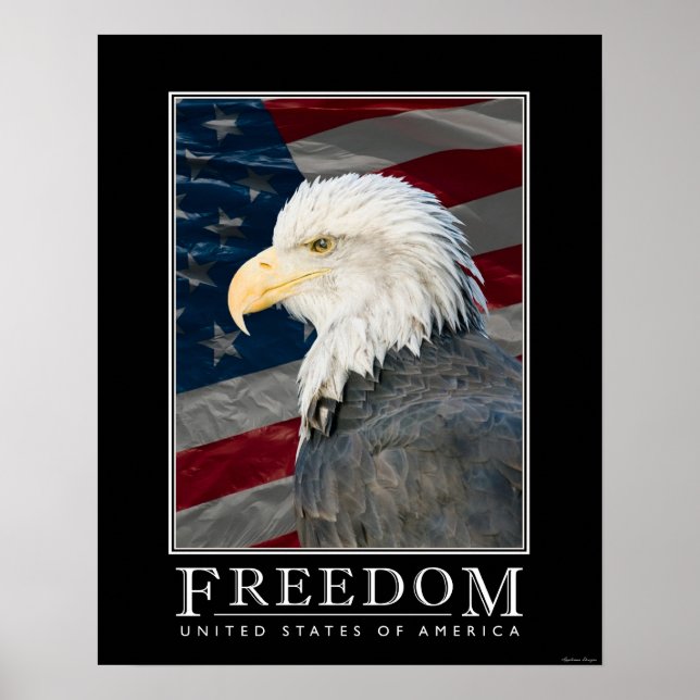Póster Poster de Libertad de Estados Unidos (Frente)