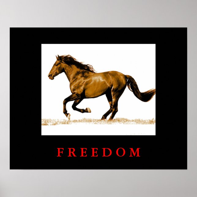 Póster Poster de libertad motivacional de caballo en marc (Frente)