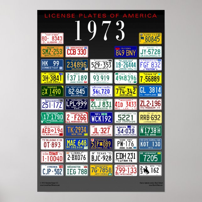 Póster Poster de Licencias de América - 1973 (Frente)