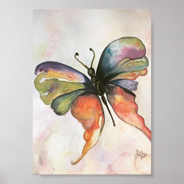 Póster Poster de lienzo Premium de mariposa arco iris (5x (Frente)