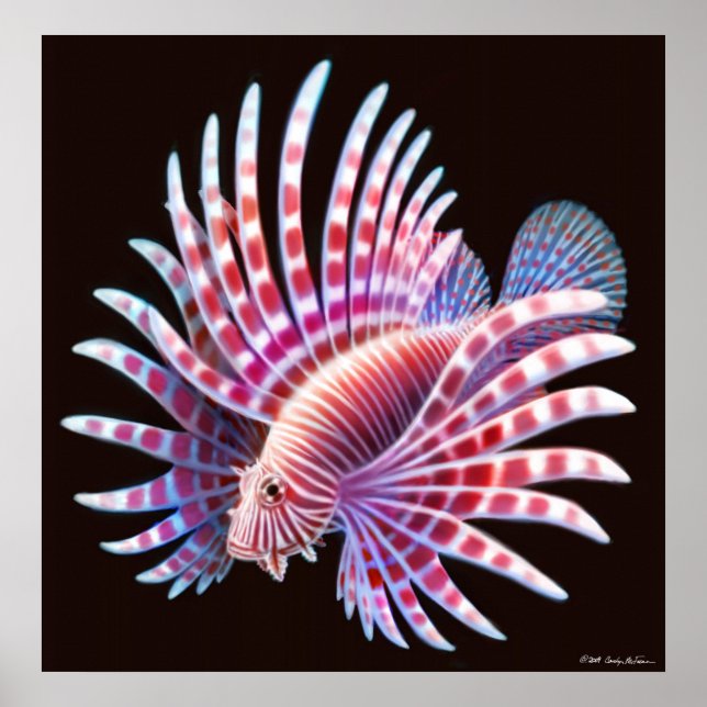 Póster Poster de Lionfish Coral Reef (Frente)