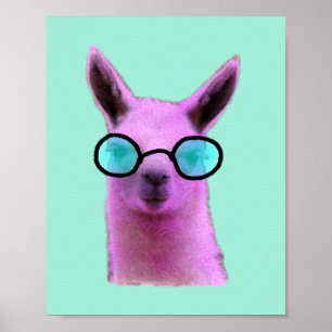 Póster Poster de Llama Rosa de Guay