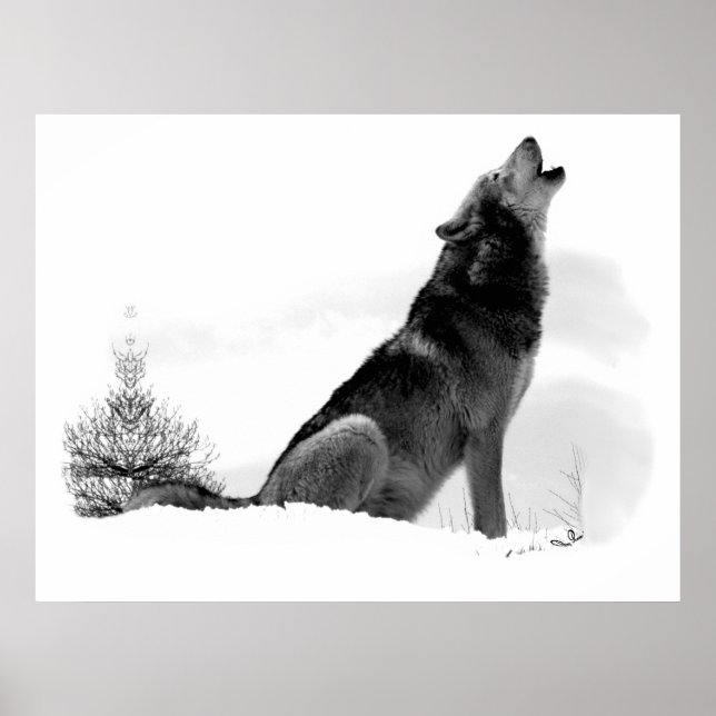 Póster Poster de Lobo de la Madera de Alaskan (Frente)