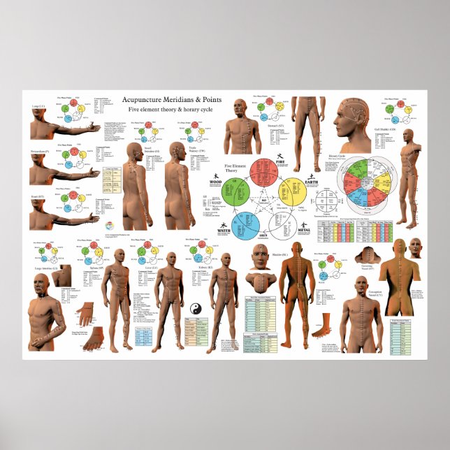 Póster Poster de localización de puntos del meridiano de  (Frente)