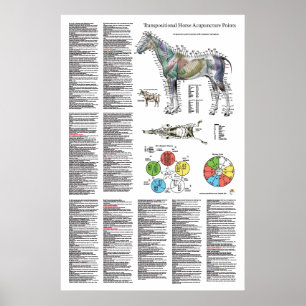 Póster Poster de localización del punto de acupuntura de 