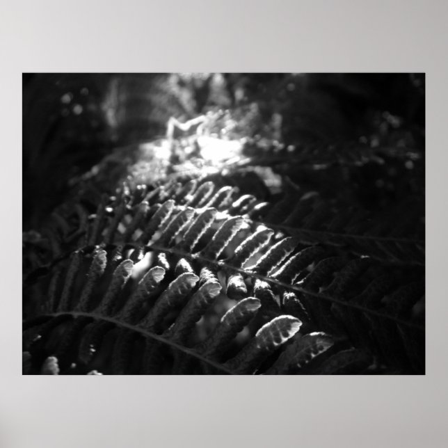 Póster Poster de "look-into-the-Light" (Frente)