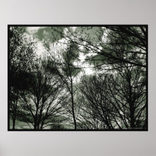 Póster Poster de los árboles el  