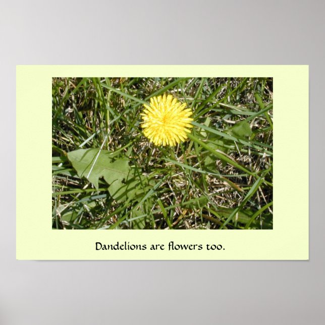 Póster poster de "Los candeliones son flores" (Frente)