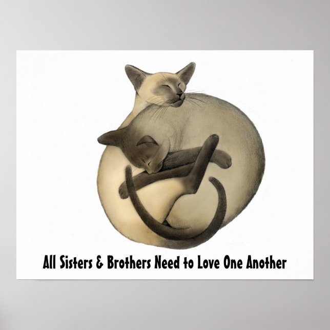 Póster Poster de los gatos de amor (Frente)