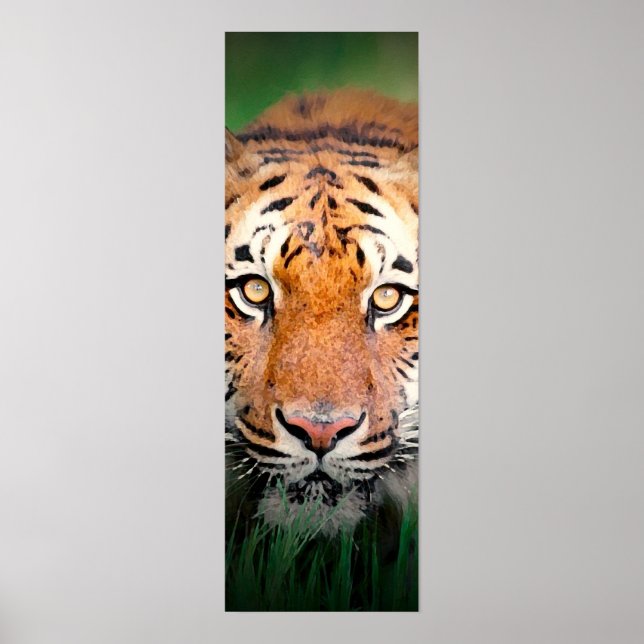 Póster Poster de los ojos de los tigres de Sumatra (Frente)