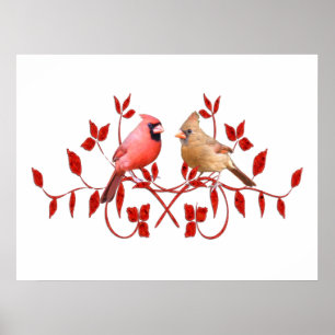 Póster Poster de los pájaros del amor