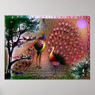 Póster Poster de los pavos reales