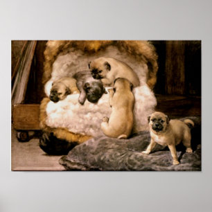 Póster Poster de los perritos del barro amasado