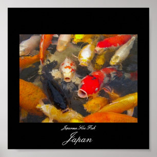 Póster Poster de los pescados de Koi en Japón