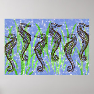 Póster Poster de los SEAHORSES