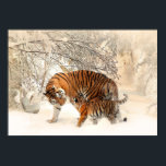 Póster Poster de los tigres de invierno<br><div class="desc">Ver mi tienda para más artículos de tigre.</div>