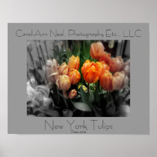 Póster Poster de los tulipanes de Nueva York